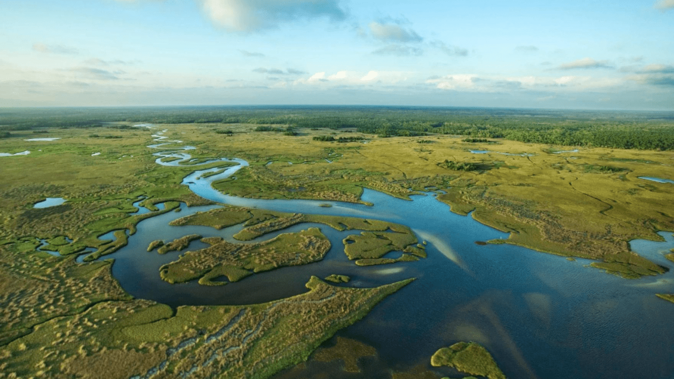 Without better conservation, Florida could lose nearly a fifth of its rural lands in 50 years